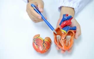 heart valve disease